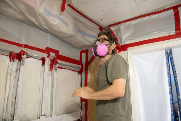 Best Black Mold Removal  in Ardmore, PA
