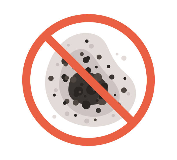 Best Indoor Air Quality Assessment  in Ardmore, PA