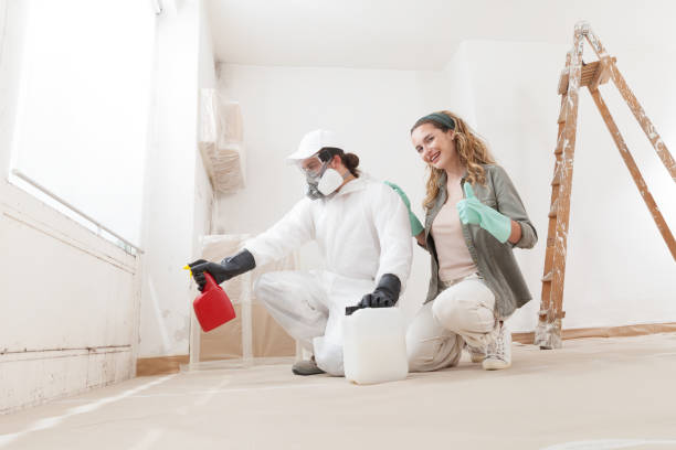 Best Dehumidification Services  in Ardmore, PA